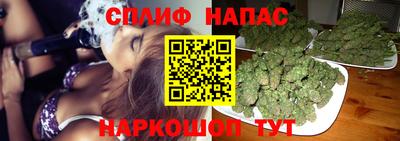 сатива Кандалакша